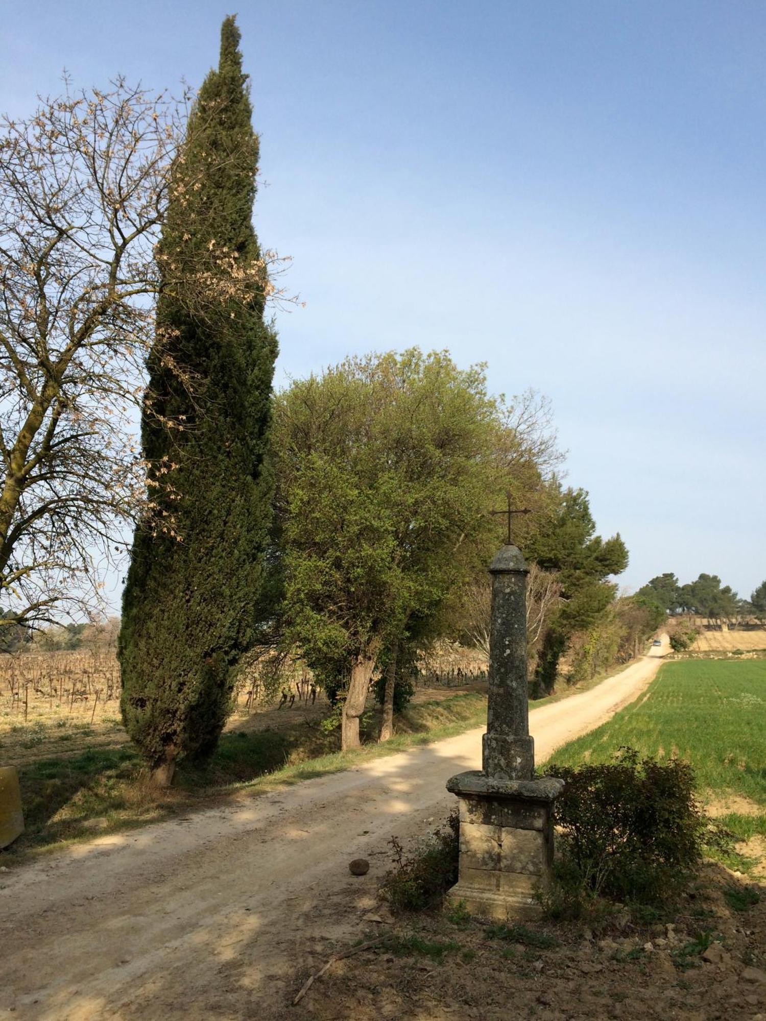 Chateau Pech-Celeyran Salles-d'Aude Bagian luar foto